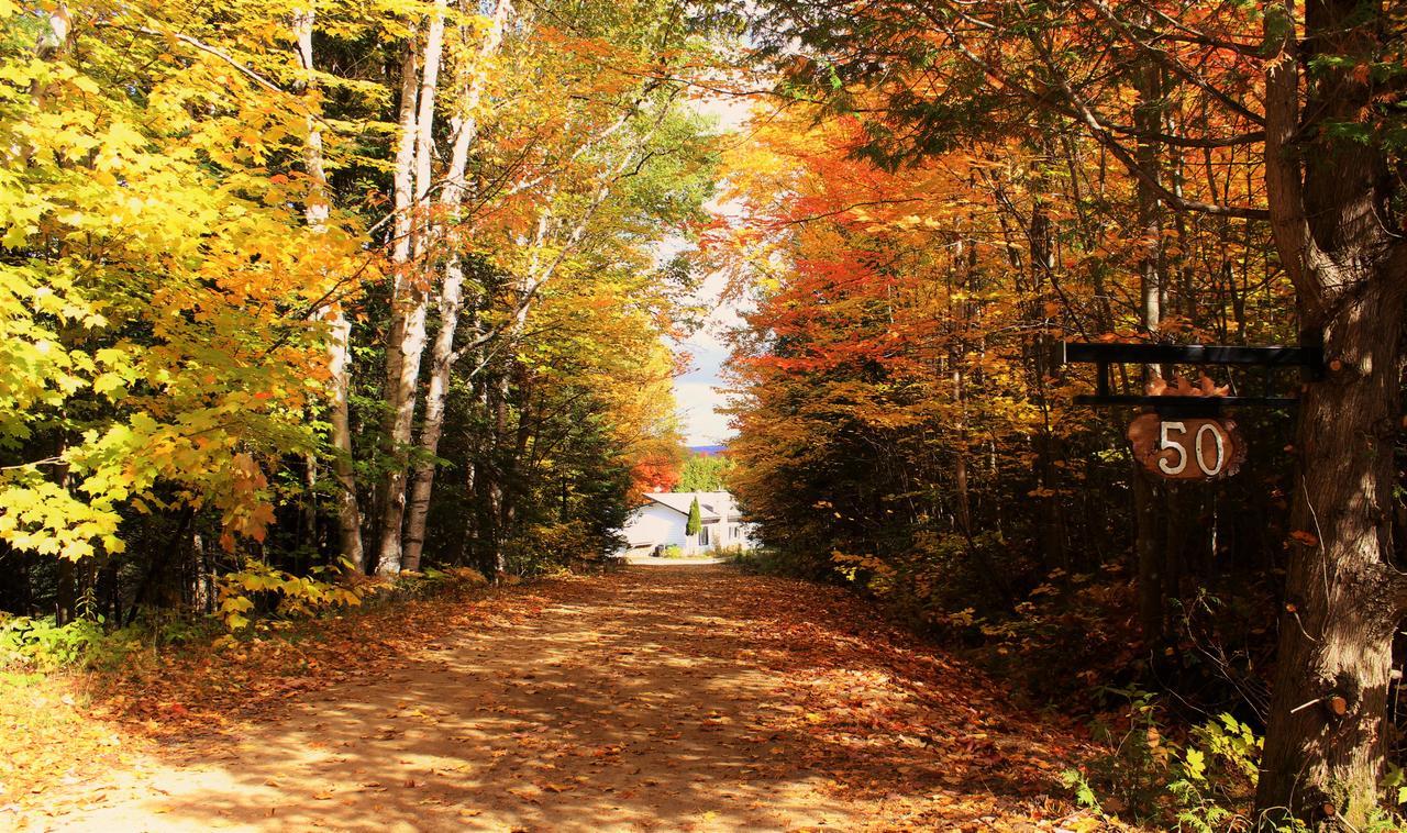 Chalet Riverain Crds Tremblant Lac-Superieur Kültér fotó